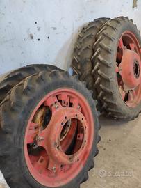 Gomme da coltura usate