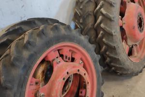 Gomme da coltura usate