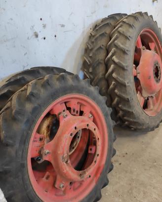 Gomme da coltura usate
