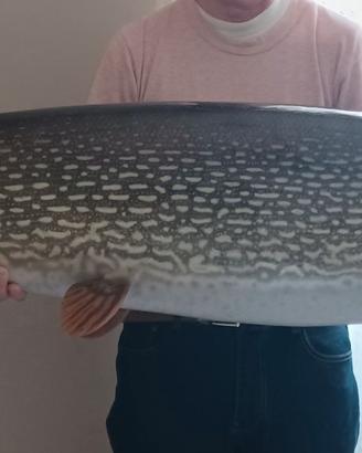trofeo pesca record