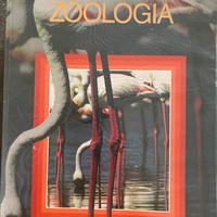 Zoologia
