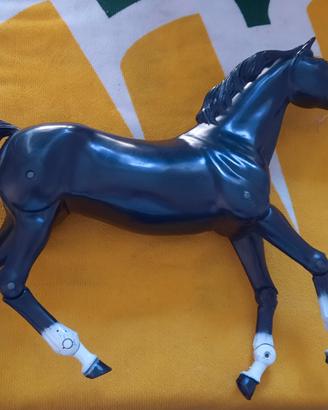  Due Cavalli originale di Big Jim West