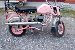 GiMotori Altro modello