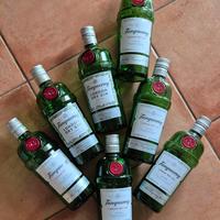 Lotto di bottiglie vuote di GIN per riciclo creati