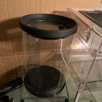 Teche insetti e ragni