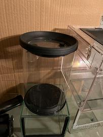 Teche insetti e ragni