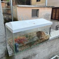 Acquario Filtro Ossigenatore