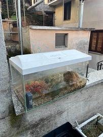 Acquario Filtro Ossigenatore