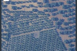 Terreno agricolo
