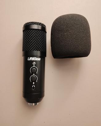 Microfono da Studio + Asta da scrivania
