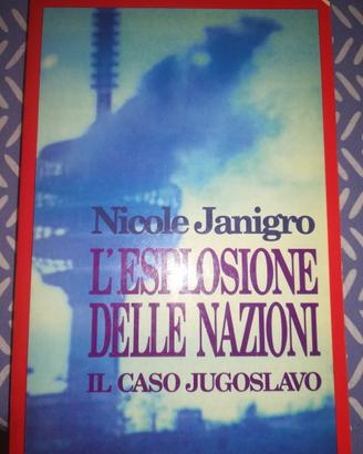 Nicole Janigro L'ESPLOSIONE DELLE NAZIONI