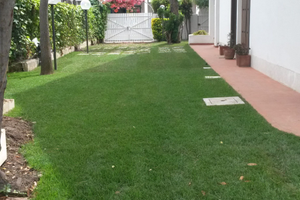 Casa vacanze Santa severa