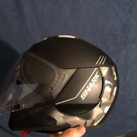 Casco shark genom
