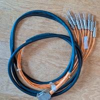 Digidesign Balanced 8 Channel DB25 to 1/4" TRS Dig