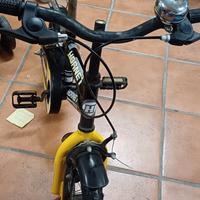 Bicicletta  per bambino modello Hornet.