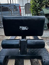 Roman chair sissy squat homegym bluegym palestra