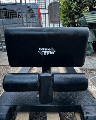 Roman chair sissy squat homegym bluegym palestra