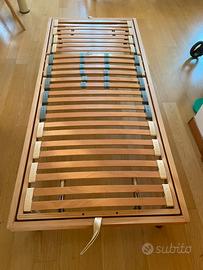 DOGA ORTOPEDICA DORSAL