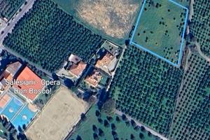 Terreno agricolo