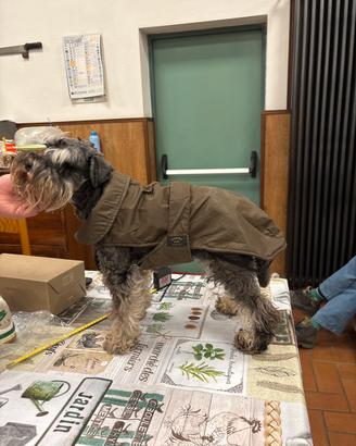 Cappottino impermeabile imbottito