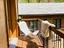 Immagine 12
