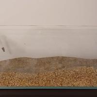 Vasca Acquario Shallow extrachiaro 60x 30x 20