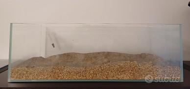 Vasca Acquario Shallow extrachiaro 60x 30x 20