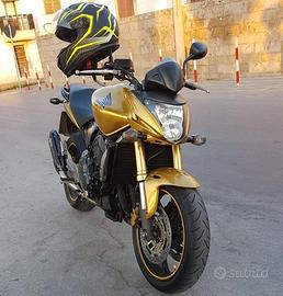 Honda hornet 