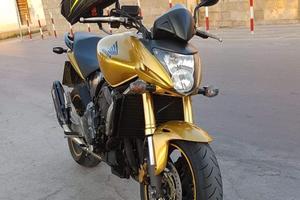 Honda hornet 