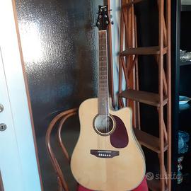 Chitarra Acustica Ashton
