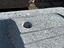 Immagine 11