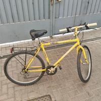 Mountain bike Legnano