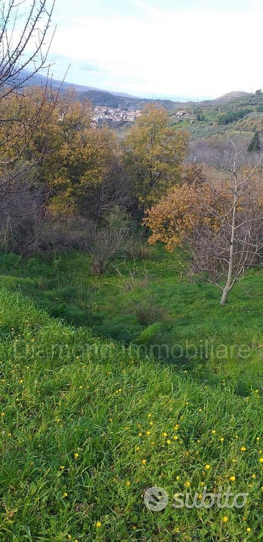 Proprietà agricola con casolare a Linguaglossa - Vista 4