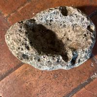 Portacenere fossile