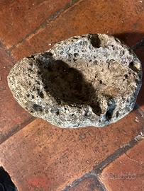 Portacenere fossile