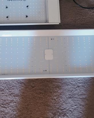 lampade   a led  inoor