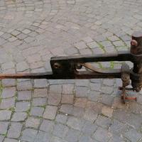 MORSA VINTAGE IN FERRO