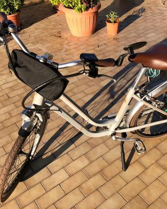 Bicicletta Elettrica World Dimension - Rose
