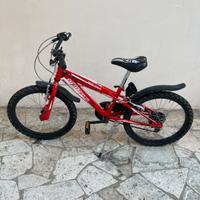 MOUNTAIN BIKE bimbo in stato ottimale