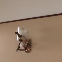 coppia di applique  bronzato