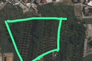 Ampio terreno edificabile a Gioia Tauro