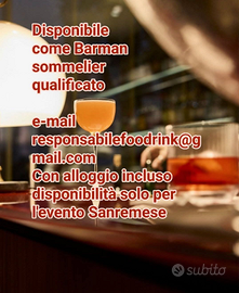 Barman sommelier extra