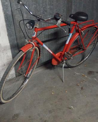 Bicicletta,uomo,da passeggio