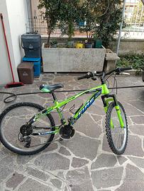 Bici bambino 24