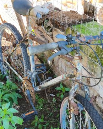 Bici Mountain bike MTB marca Bartali