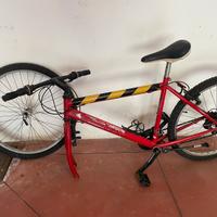 Mountain bike