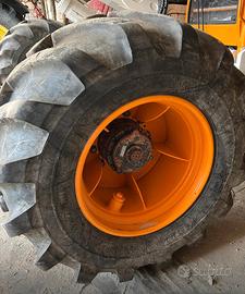 Gomme forestali con cerchi