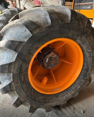 Gomme forestali con cerchi