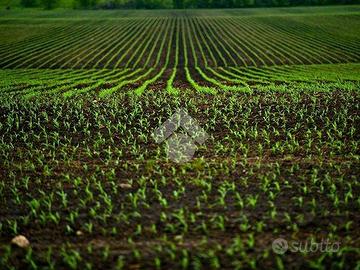 TER. RESIDENZIALE A DUEVILLE