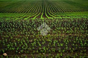 TER. RESIDENZIALE A DUEVILLE